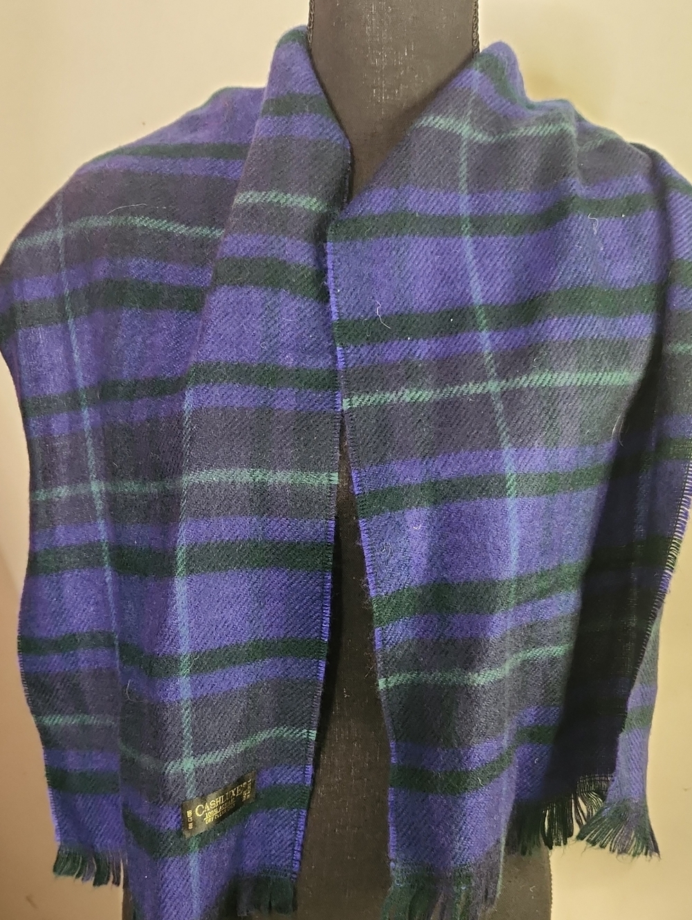 Classic Vintage  Blue & Green Plaid Prepoy Winter Scarf